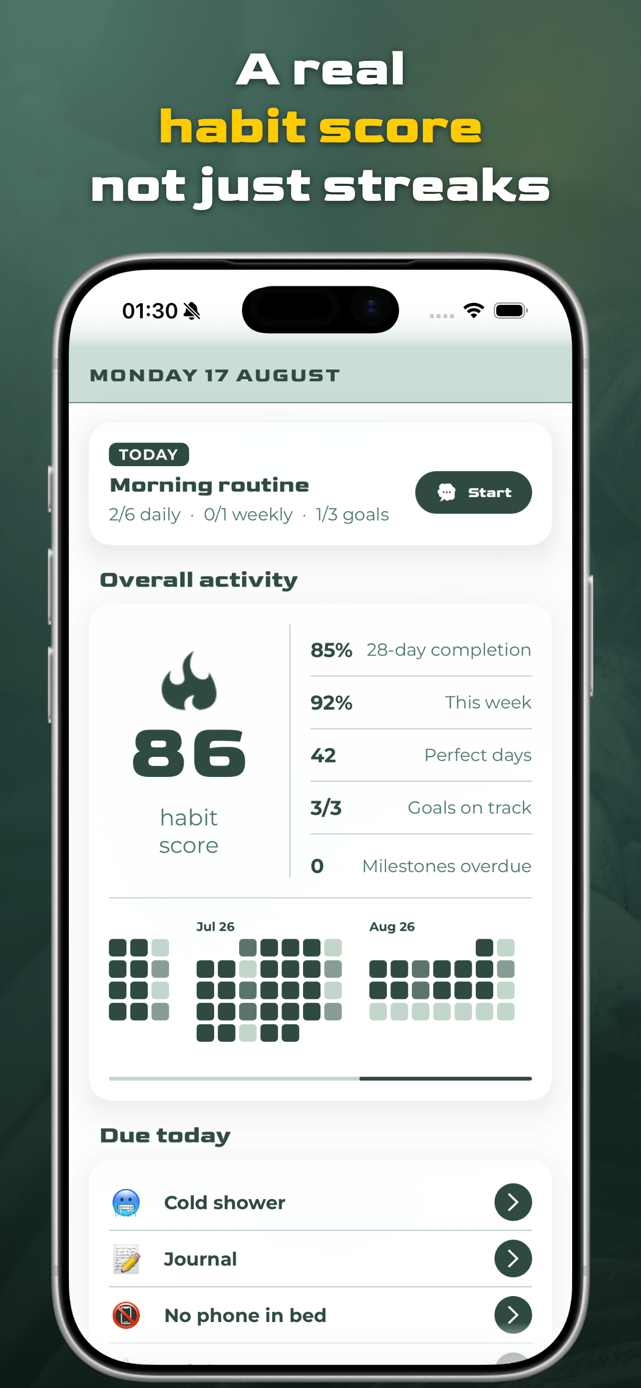 Virtus Habit home: a real habit score, streaks, perfect days and heatmap at a glance